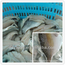 fujian factory of frozen seabass fillet/ sea bass fillet